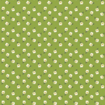 Groen madelief klein