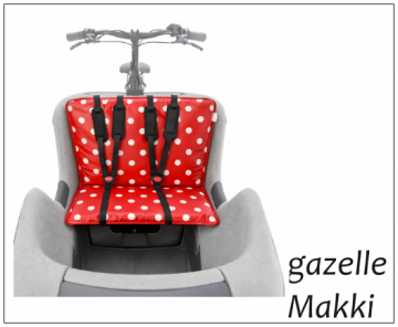 Rood stippen in bak 1