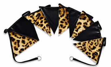 Vlaggen panter